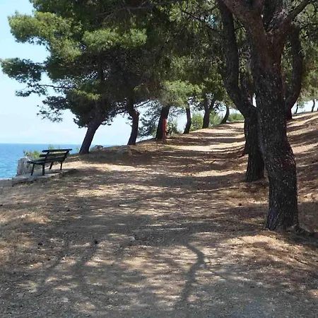 דירה Unique For Art & Nature Lovers