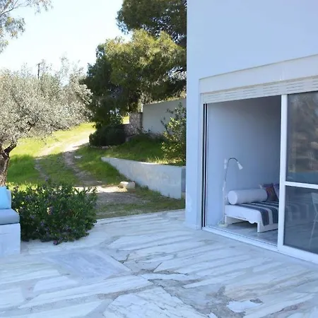 Unique For Art & Nature Lovers פורטו הלי