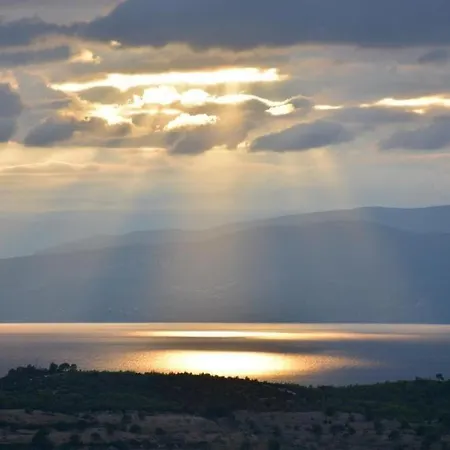 Unique For Art & Nature Lovers דירה